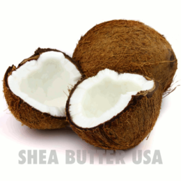 Wholesale organic virgin coconut oil